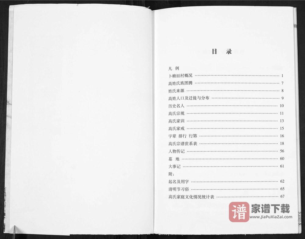 图片[2]-山西吕梁柳林县卜赖垣村高氏家谱PDF高清电子版下载-家谱下载
