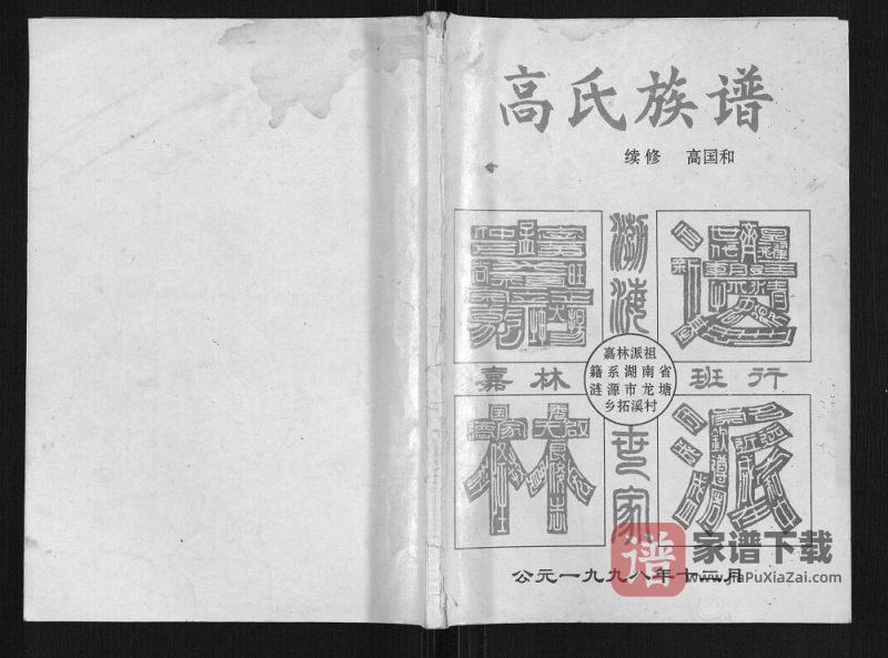 四川南充仪陇高氏族谱PDF高清电子版下载-家谱下载