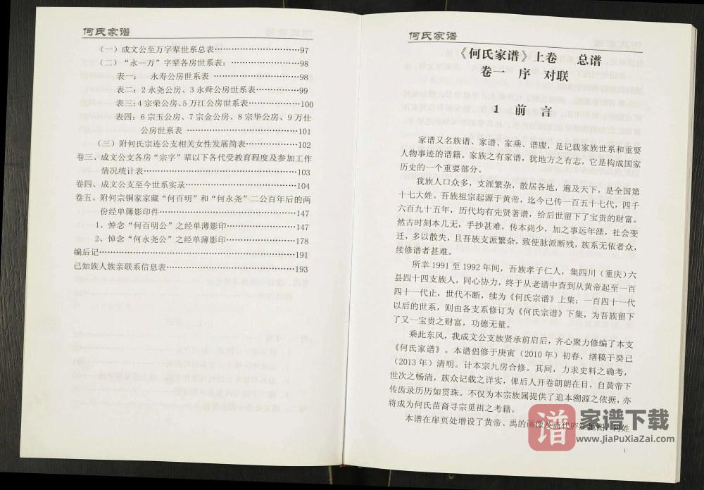 图片[2]-重庆忠县何氏家谱何氏成文支系PDF高清电子版下载-家谱下载