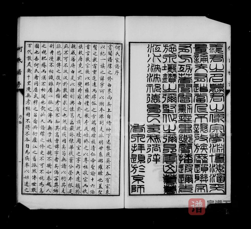图片[1]-河北沧州青县东光县何氏族谱PDF高清电子版下载-家谱下载