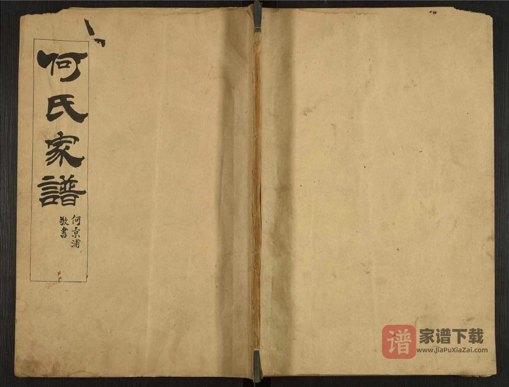 图片[1]-山东泰安东平县何氏家谱PDF高清电子版下载-家谱下载