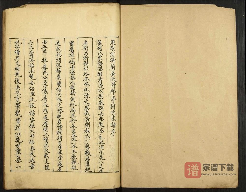 图片[2]-山东泰安东平县何氏家谱PDF高清电子版下载-家谱下载