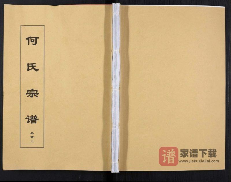 安徽安庆太湖县何氏宗谱(三高堂)PDF高清电子版下载-家谱下载