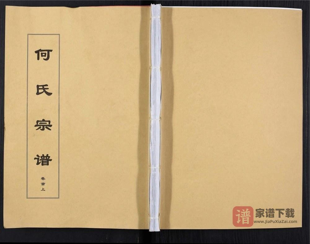 图片[1]-安徽安庆太湖县何氏宗谱（三高堂）PDF高清电子版下载-家谱下载