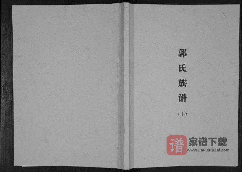广西河池郭廷汪后裔族谱PDF高清电子版下载-家谱下载