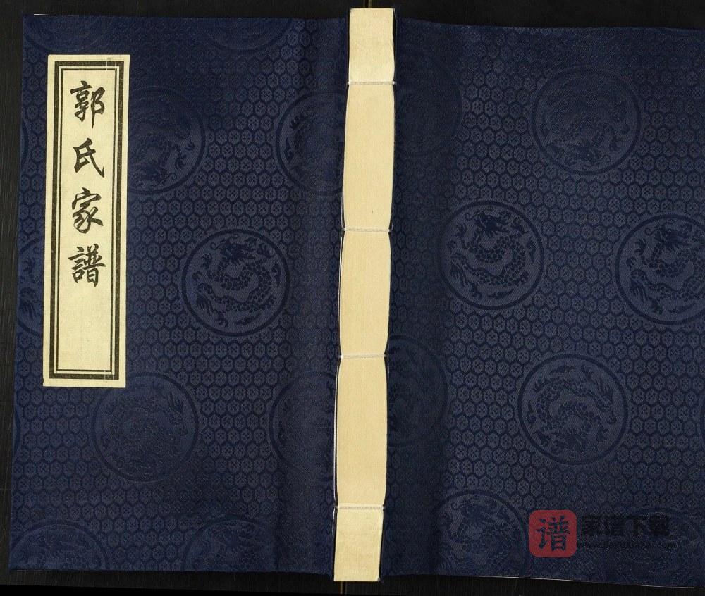 天津西青区梨园头村郭氏家谱（汾阳堂）PDF高清电子版下载