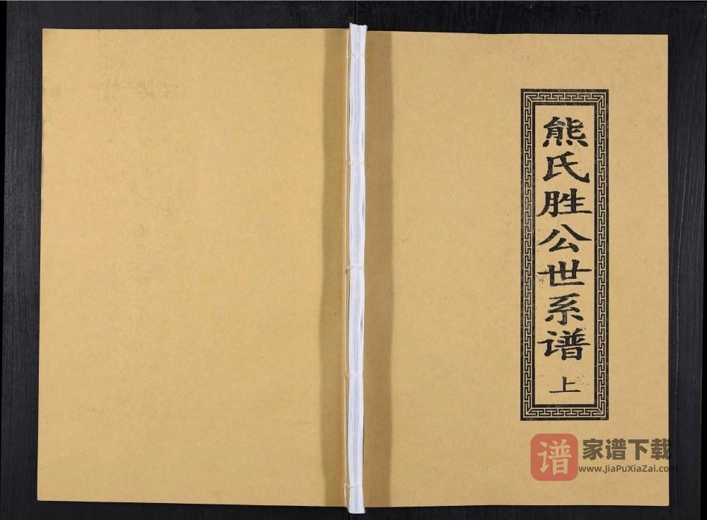 广东信宜熊氏胜公世系谱PDF高清电子版下载