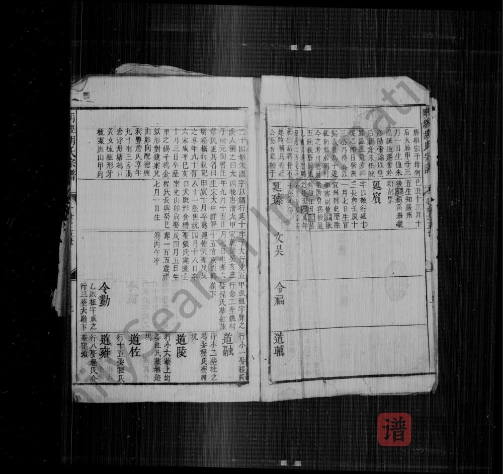 图片[2]-明经胡氏宗谱PDF高清电子版下载-家谱下载