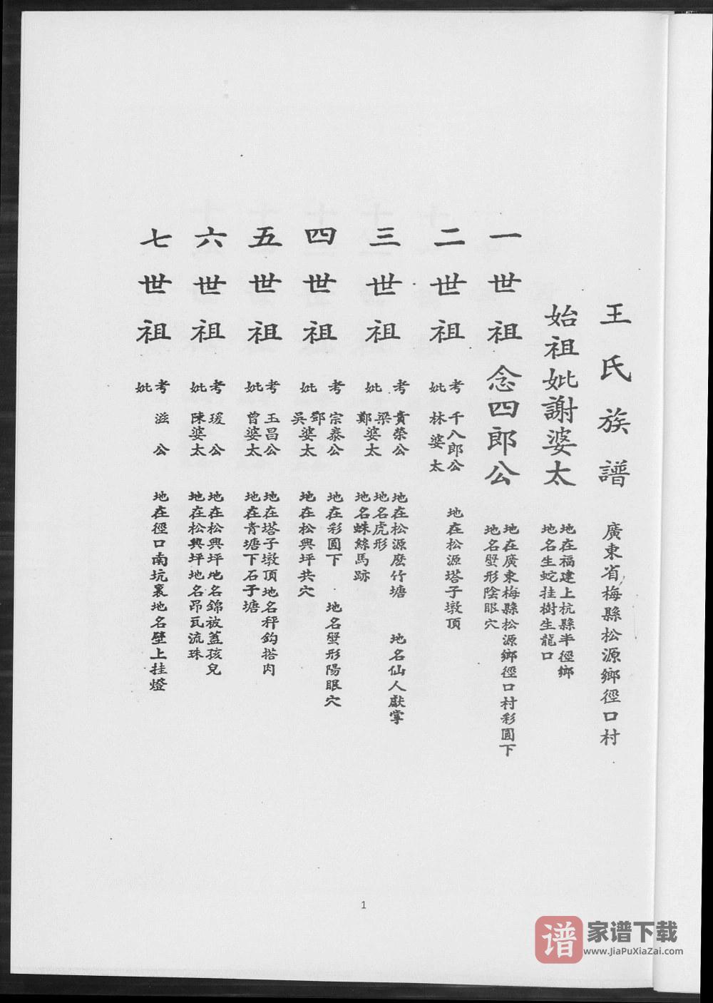 图片[2]-台湾花莲王氏族谱简录PDF高清电子版下载-家谱下载