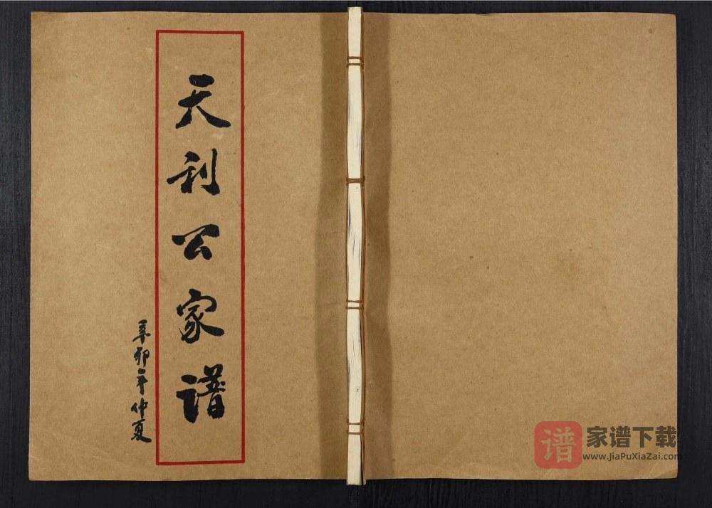 广东揭阳下尾王氏族谱天利公家谱PDF高清电子版下载