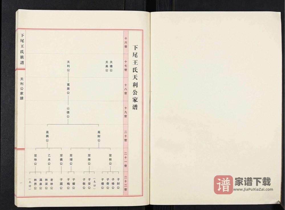 图片[2]-广东揭阳下尾王氏族谱天利公家谱PDF高清电子版下载-家谱下载