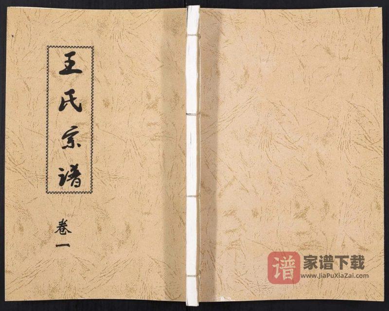 江苏连云港赣榆王氏宗谱PDF高清电子版下载-家谱下载