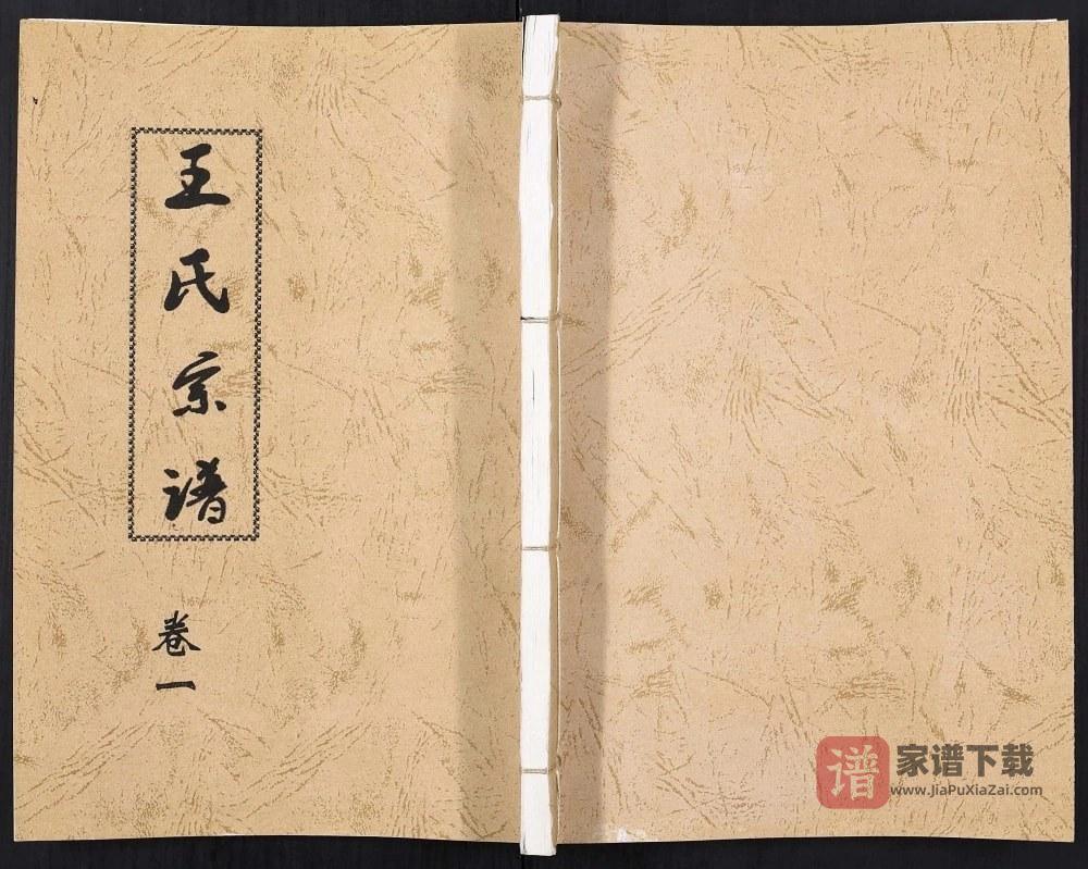 江苏连云港赣榆王氏宗谱PDF高清电子版下载
