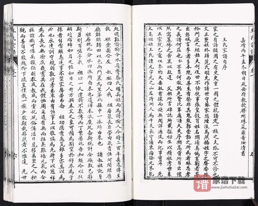 图片[2]-江苏连云港赣榆王氏宗谱PDF高清电子版下载-家谱下载