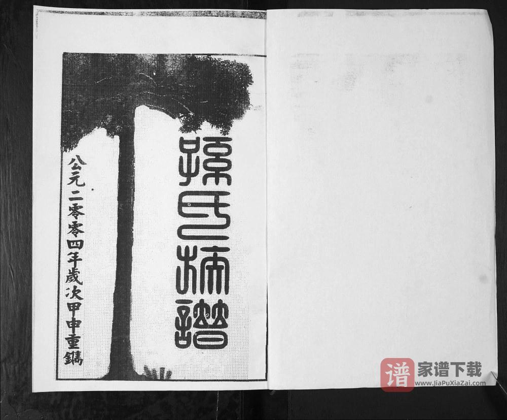 图片[2]-山东青岛即墨程戈庄孙氏族谱PDF高清电子版下载-家谱下载