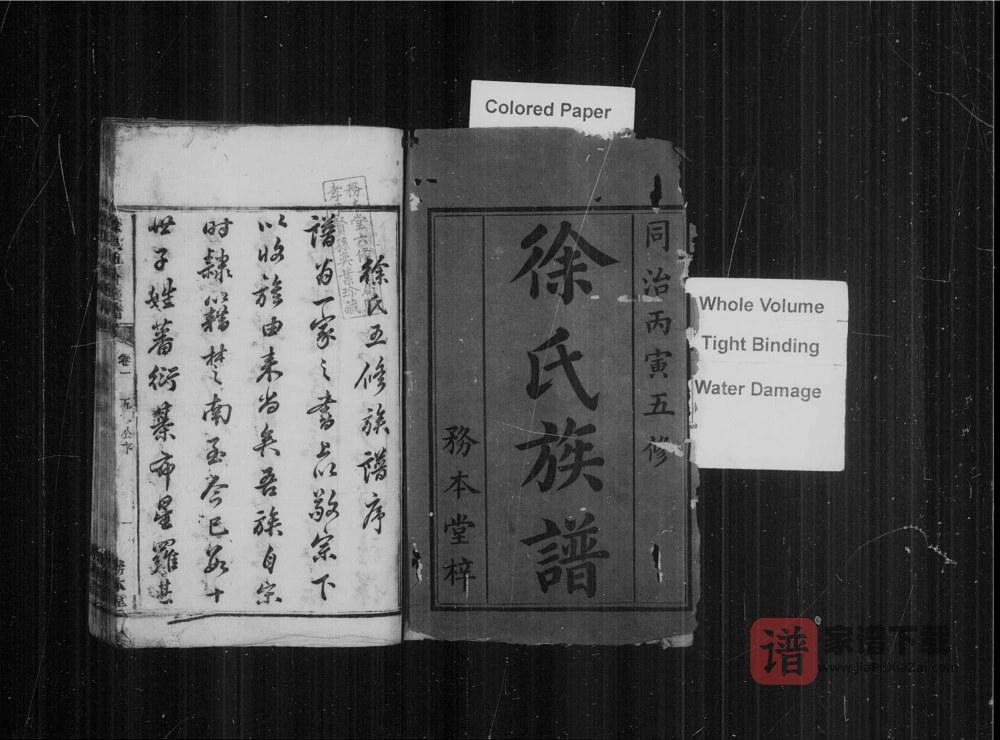 图片[2]-湖南湘潭徐氏五修族谱（务本堂）PDF高清电子版下载-家谱下载