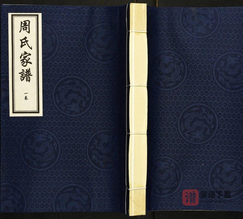 河北保定阜平县周氏家谱PDF高清电子版下载