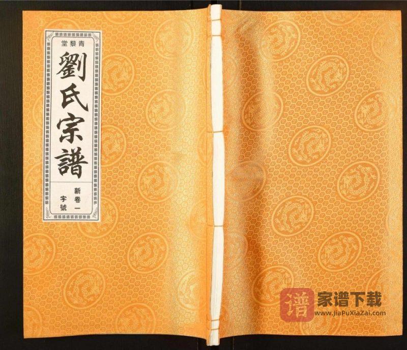 安徽合肥肥西县刘氏宗谱(青藜堂)PDF高清电子版下载-家谱下载