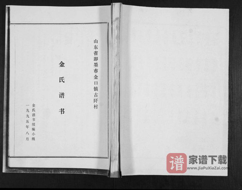 山东青岛即墨区金口镇古阡村金氏谱书PDF高清电子版下载-家谱下载