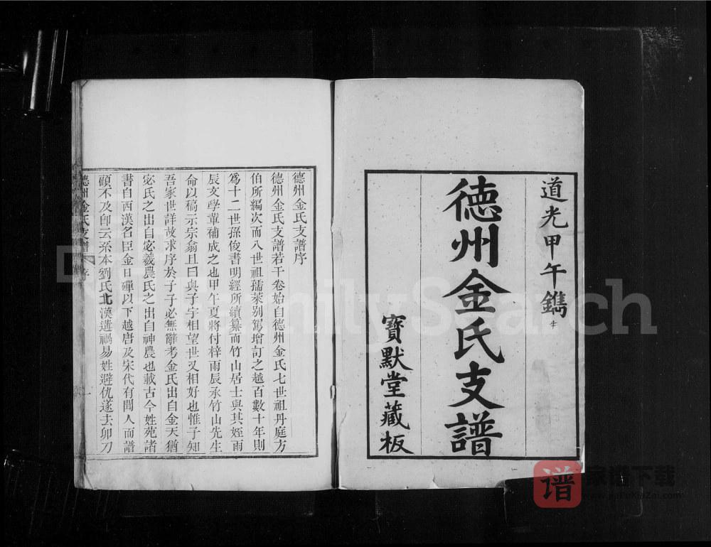 山东德州金氏支谱（宝默堂）PDF高清电子版下载