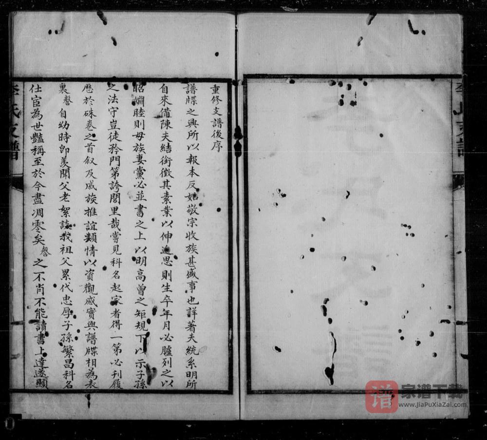 图片[1]-山东济宁李氏支谱PDF高清电子版下载-家谱下载