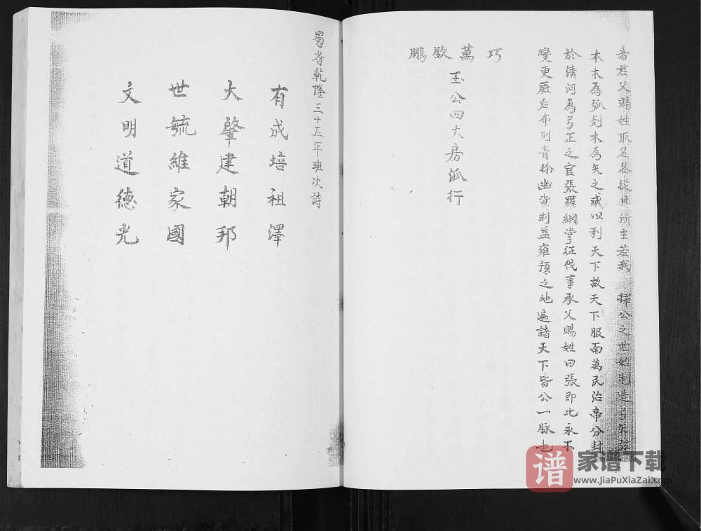 图片[2]-四川内江隆昌张氏族谱川派分支PDF高清电子版下载-家谱下载