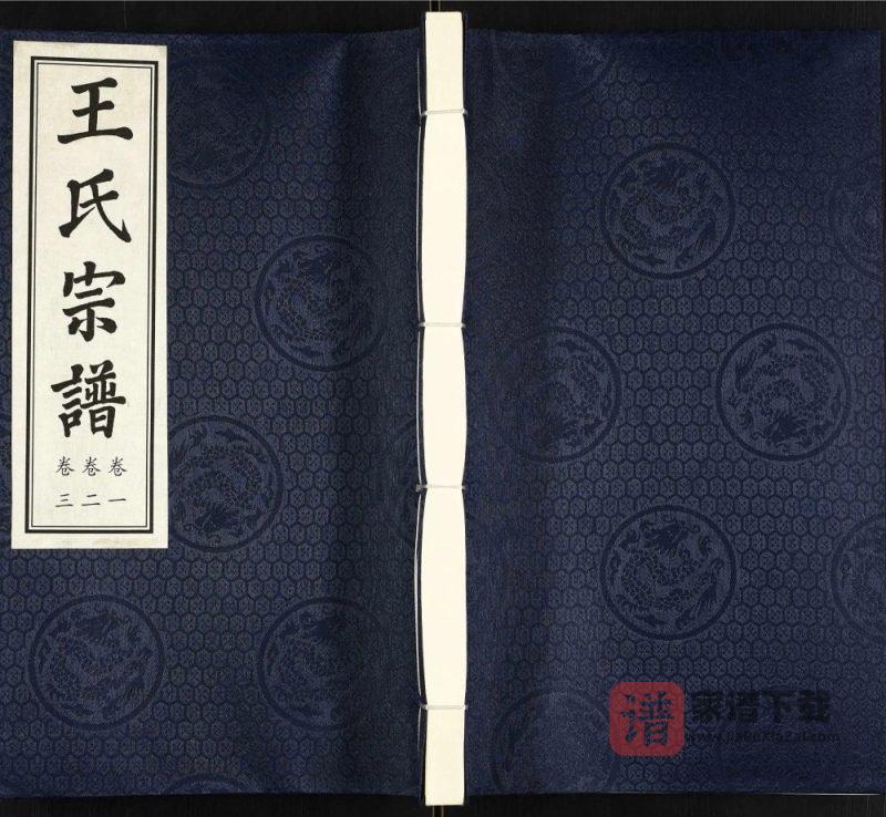 江苏常州武进圩塘王氏宗谱(三槐堂)PDF高清电子版下载-家谱下载