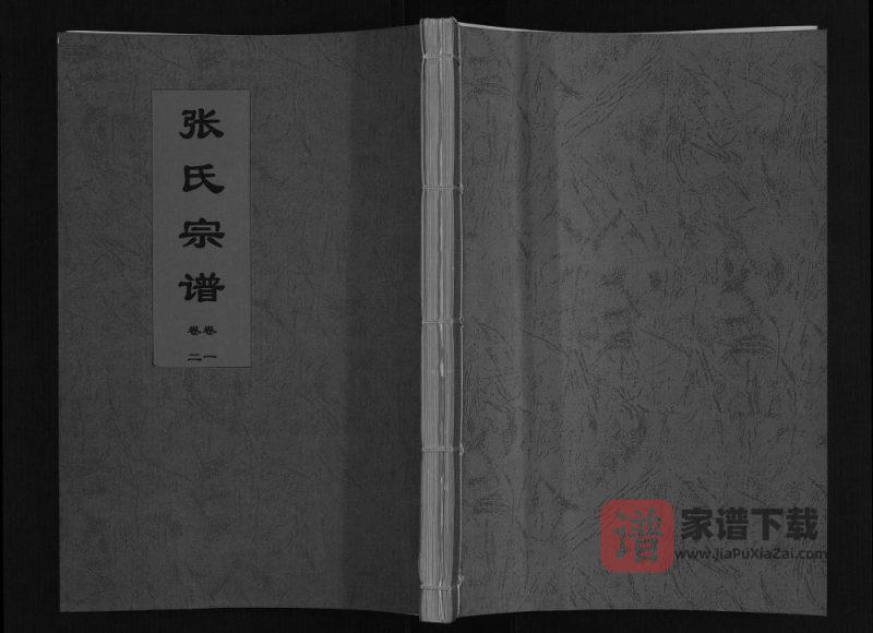 安徽淮南寿县张氏宗谱（敦笃堂）PDF高清电子版下载-家谱下载