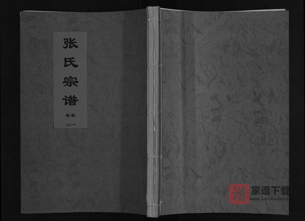 图片[1]-安徽淮南寿县张氏宗谱（敦笃堂）PDF高清电子版下载-家谱下载
