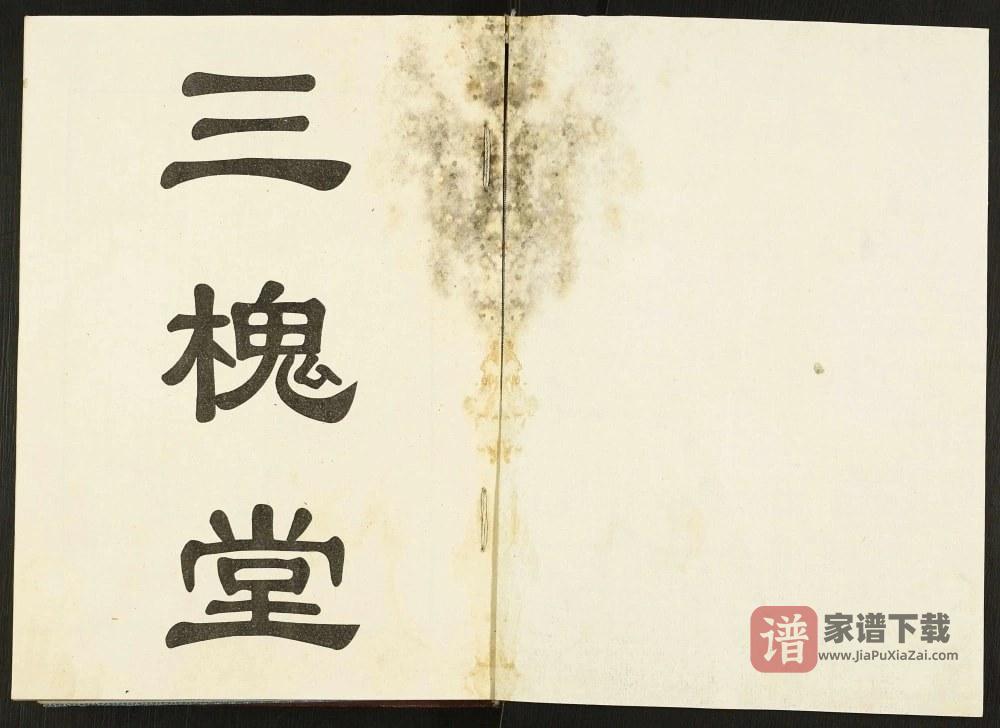 图片[2]-江苏徐州沛县古沛王氏族谱（三槐堂）PDF高清电子版下载-家谱下载