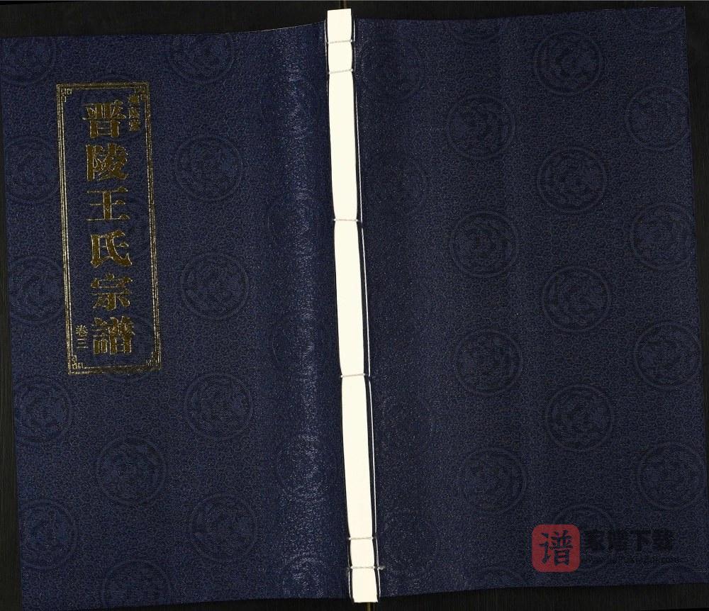 江苏常州晋陵王氏宗谱（槐荫堂）PDF高清电子版下载