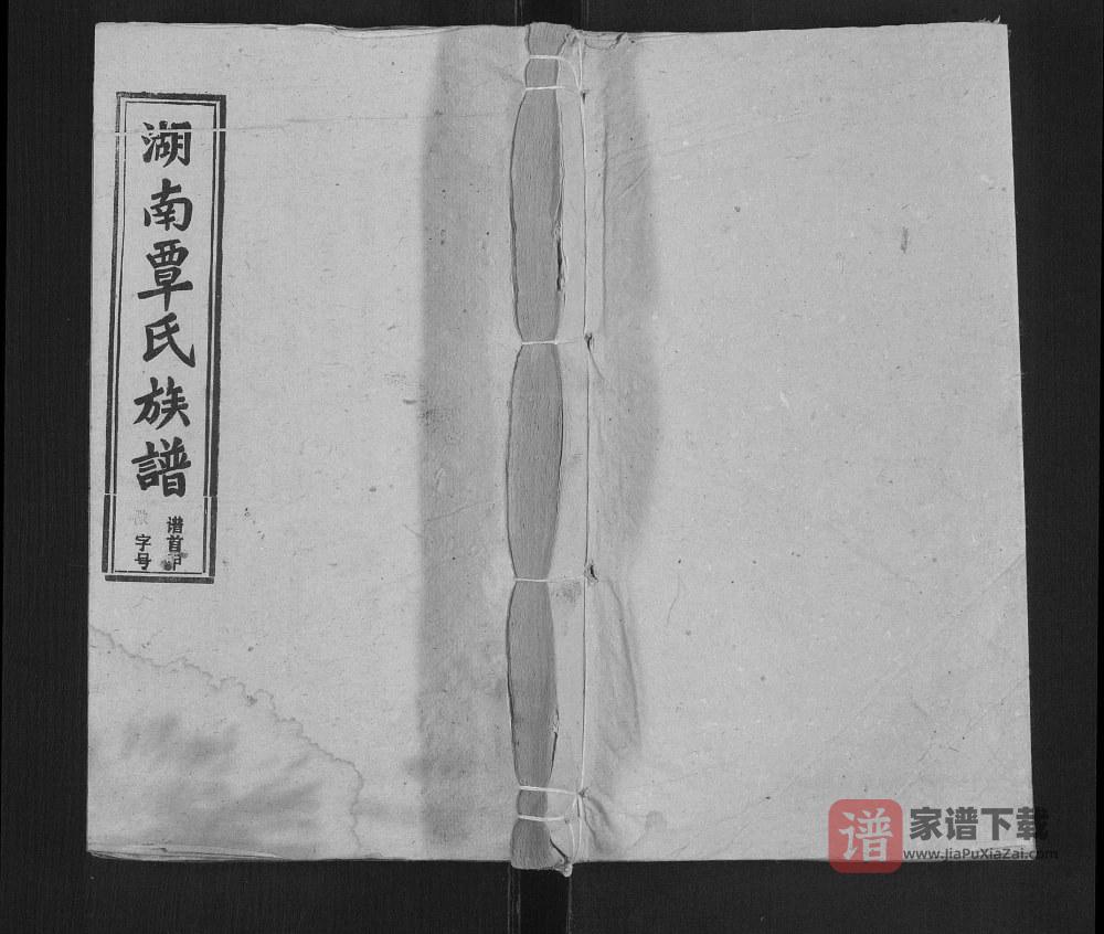 图片[1]-湖南邵阳覃氏四修族谱PDF高清电子版下载-家谱下载