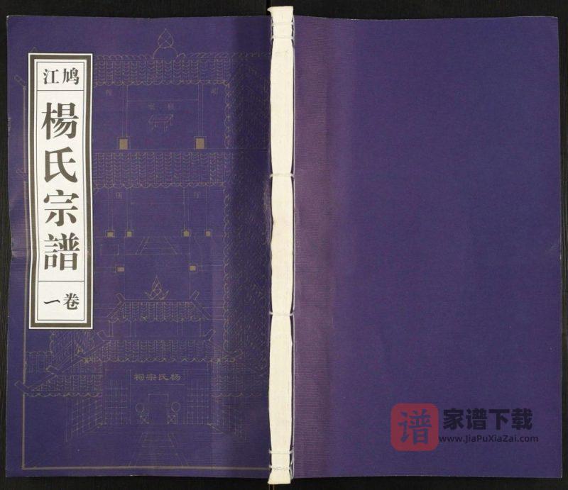 安徽芜湖鸠江杨氏宗谱(报本堂)PDF高清电子版下载-家谱下载