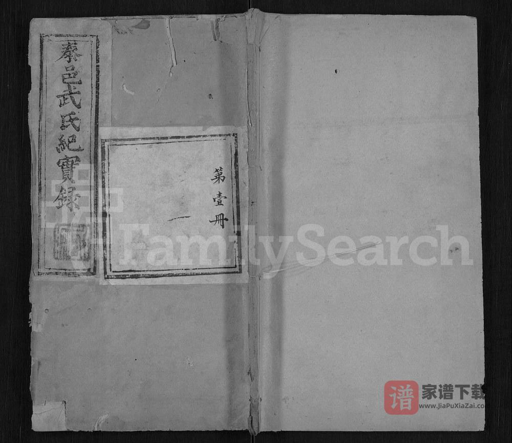 图片[1]-山东泰安续修武氏族谱PDF高清电子版下载-家谱下载