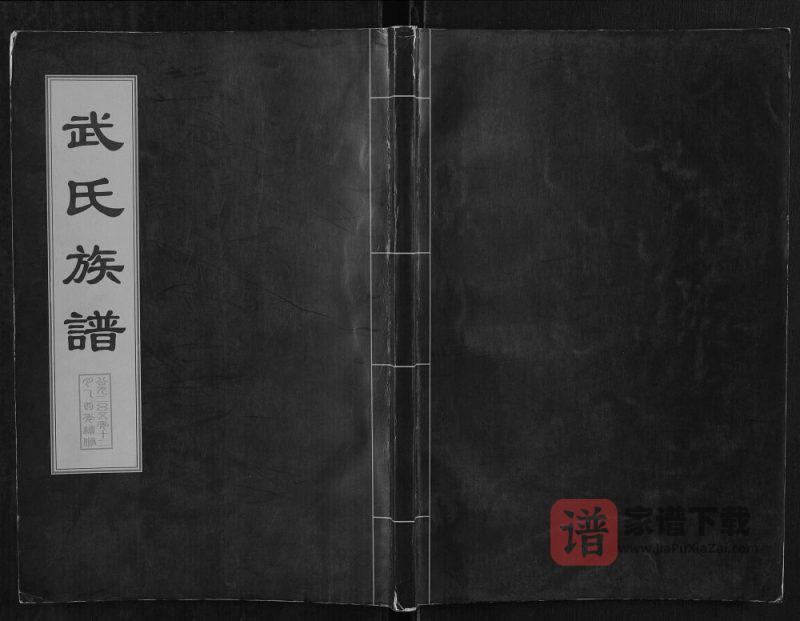 山东肥城武氏族谱(广孝思堂)PDF高清电子版下载-家谱下载