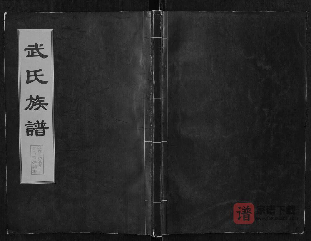 图片[1]-山东肥城武氏族谱（广孝思堂）PDF高清电子版下载-家谱下载