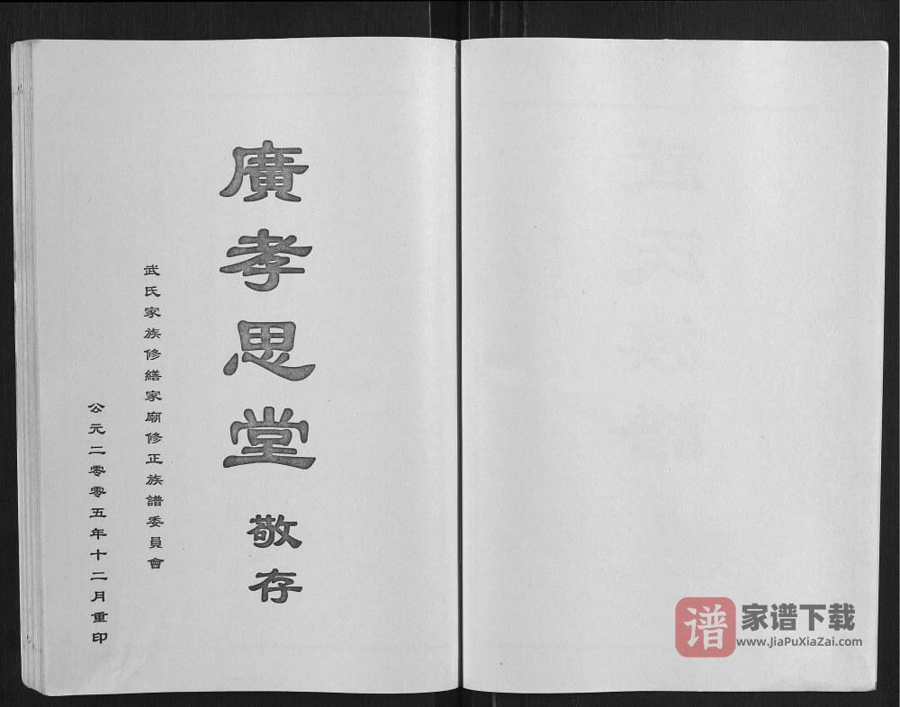 图片[2]-山东肥城武氏族谱（广孝思堂）PDF高清电子版下载-家谱下载