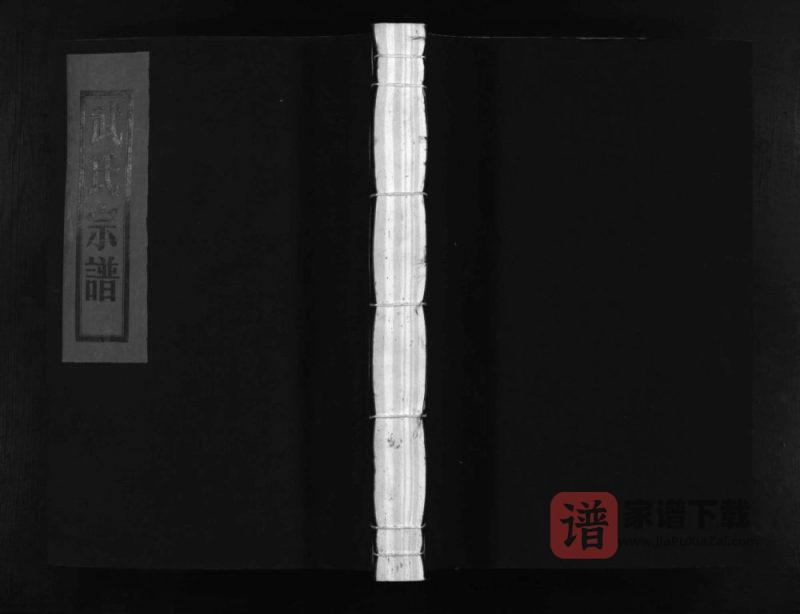 浙江温州平阳县长山武氏宗谱PDF高清电子版下载-家谱下载