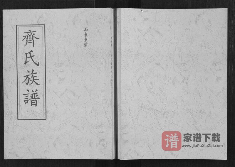 山东临沂蒙阴县齐氏族谱PDF高清电子版下载-家谱下载