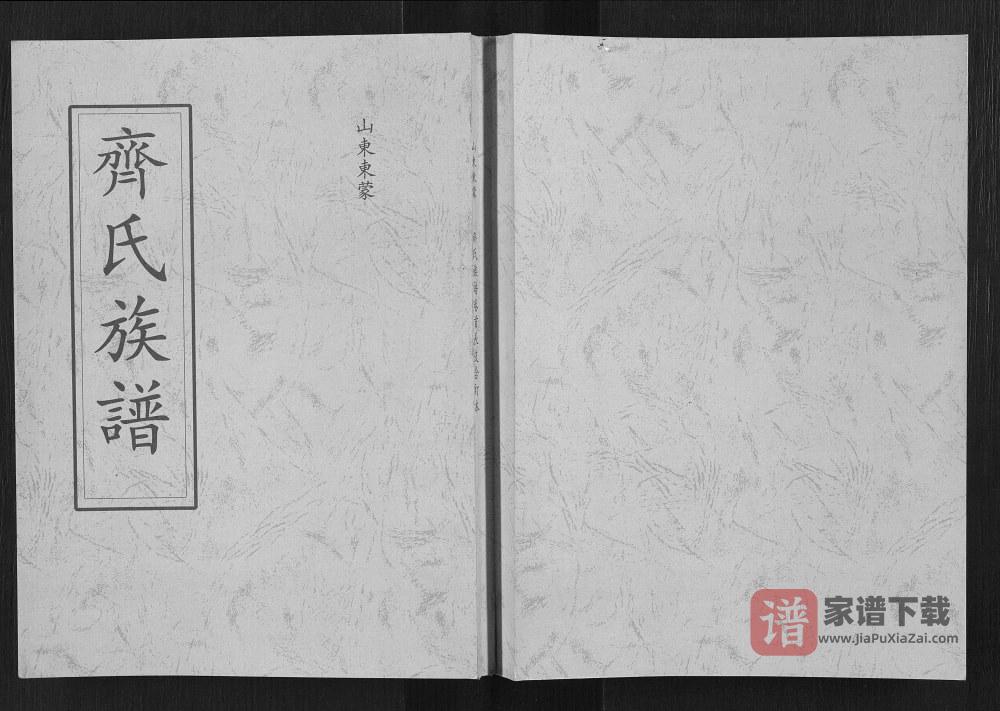 图片[1]-山东临沂蒙阴县齐氏族谱PDF高清电子版下载-家谱下载