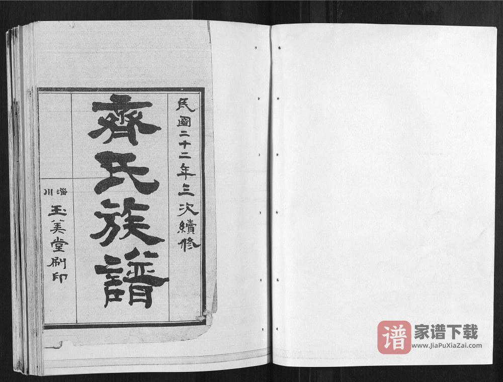 图片[2]-山东临沂蒙阴县齐氏族谱PDF高清电子版下载-家谱下载