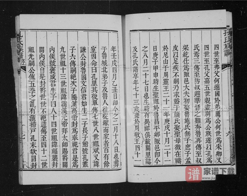 图片[2]-河北高碑店直隶保定府新城县孔氏族谱PDF高清电子版下载-家谱下载