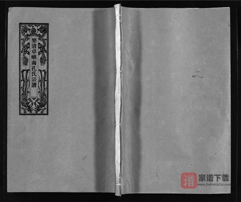 图片[1]-浙江乐清卓屿南孔氏宗谱PDF高清电子版下载-家谱下载