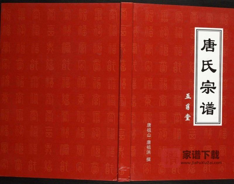 安徽天长唐氏宗谱（五豸堂）PDF高清电子版下载-家谱下载