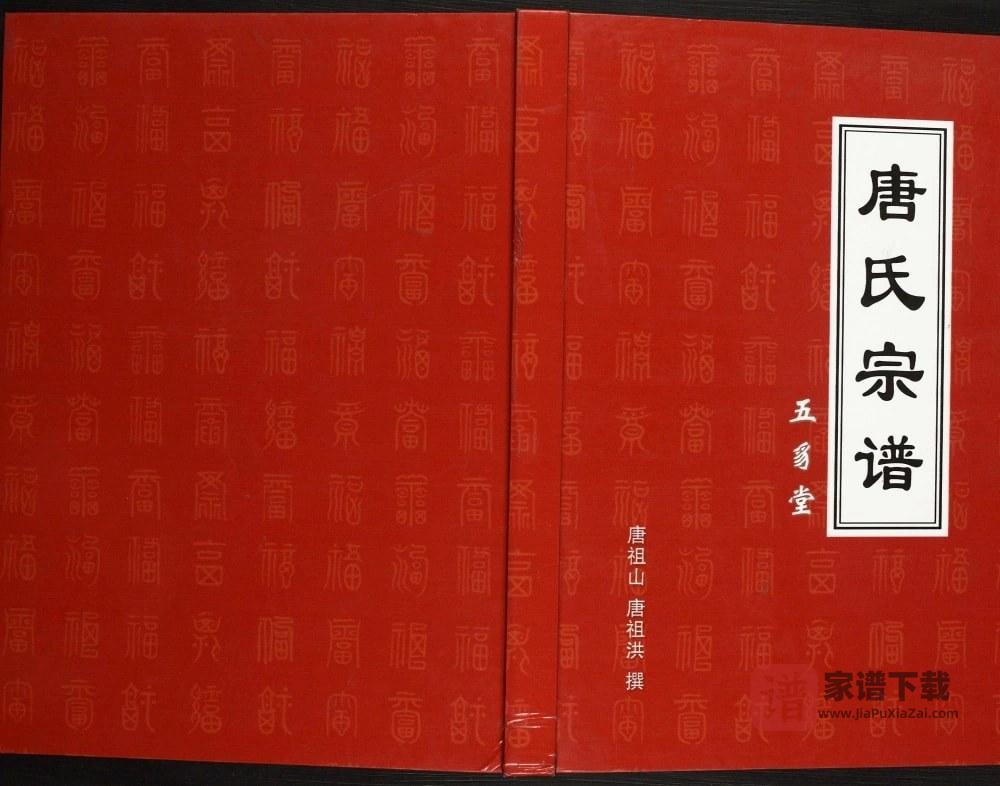 安徽天长唐氏宗谱（五豸堂）PDF高清电子版下载