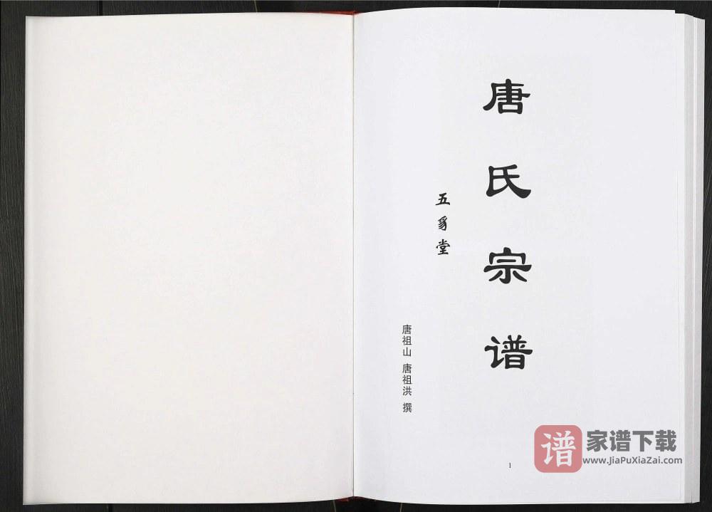 图片[2]-安徽天长唐氏宗谱（五豸堂）PDF高清电子版下载-家谱下载