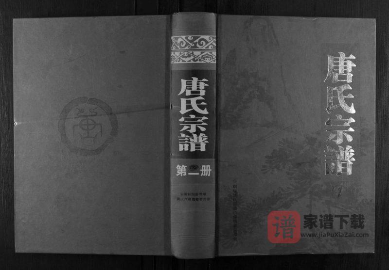 安徽铜陵枞阳唐氏宗谱PDF高清电子版下载-家谱下载