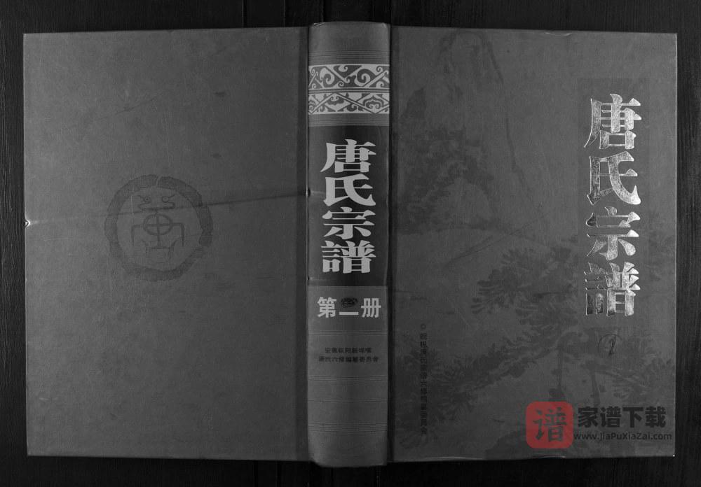 安徽铜陵枞阳唐氏宗谱PDF高清电子版下载