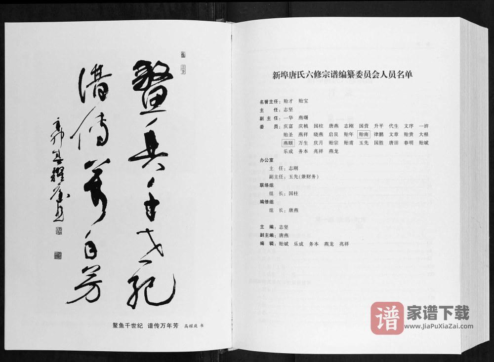 图片[2]-安徽铜陵枞阳唐氏宗谱PDF高清电子版下载-家谱下载