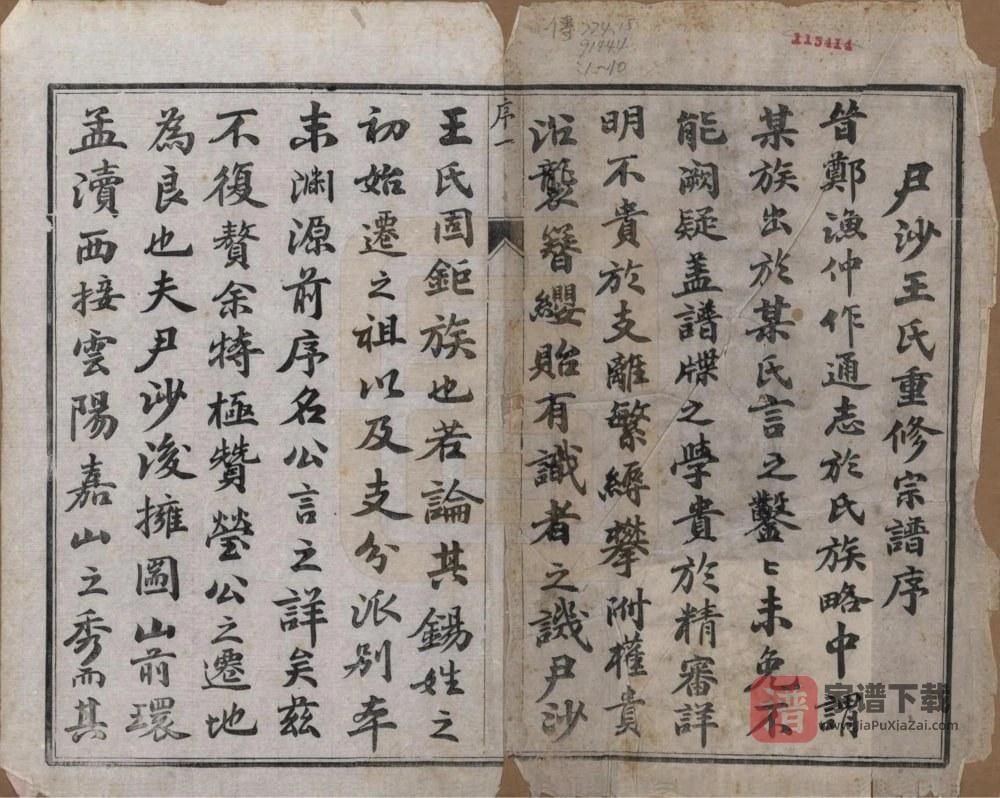 图片[2]-江苏镇江尹沙王氏家乘PDF高清电子版下载-家谱下载